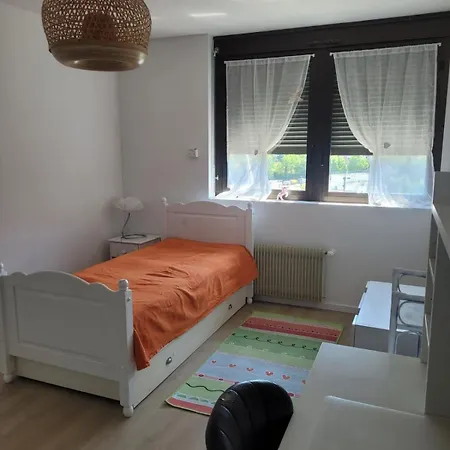 Διαμέρισμα Large Duplex For Large Family Τονόν-λε-Μπαιν